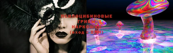 гашик Алексеевка