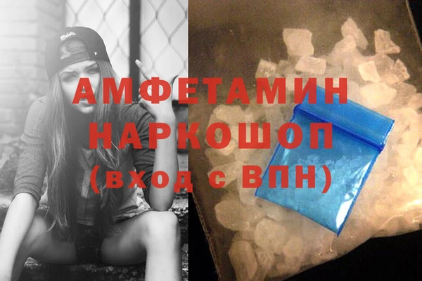 стаф Алзамай