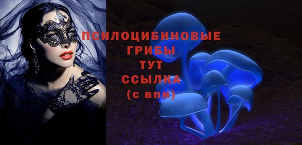 стаф Алзамай
