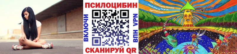 Галлюциногенные грибы Cubensis  Купить закладки  Пойковский 